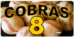 BASEBALL cobras 8 14x7.jpg (145863 bytes)