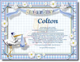 Copy of Its_a_boy.jpg (63977 bytes)