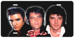 ELVIS Lic Plate name 14x7.jpg (98479 bytes)