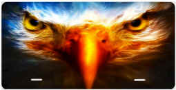 Eagle 14x7.jpg (109548 bytes)