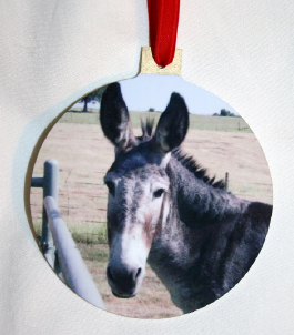 Ornament Donkey.png (468746 bytes)