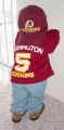 Redskins.JPG (28710 bytes)