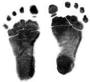 SAMPLE.jpg (101164 bytes)