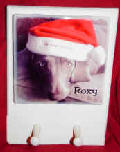 wpe14.jpg (19050 bytes)