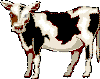 wpeA6.gif (2969 bytes)