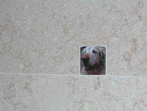 shower 5.JPG (259147 bytes)